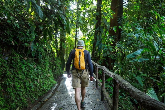 Wandern im grünen tropischen Dschungel, Costa Rica, Mittelamerika