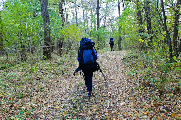 Wandern im Herbstwald