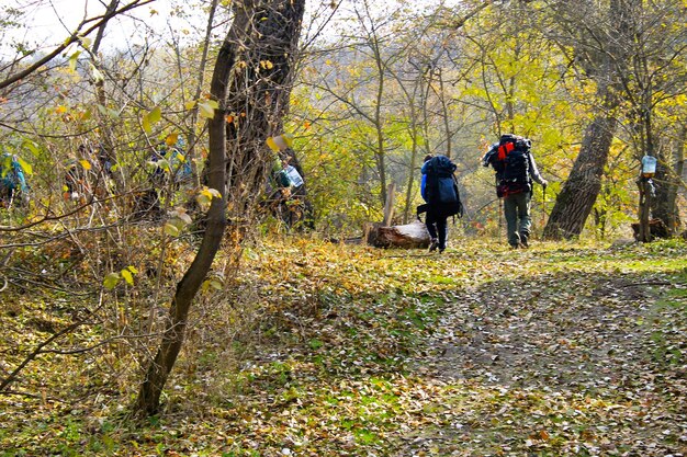 Wandern im Herbstwald