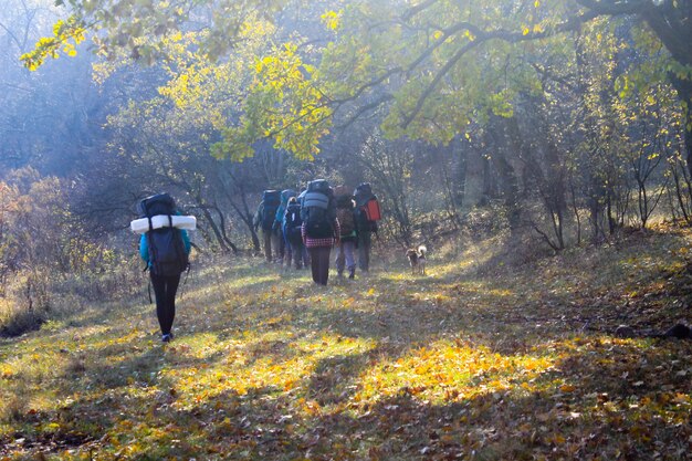 Wandern im Herbstwald