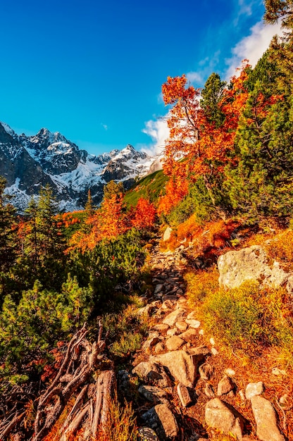 Wandern im Nationalpark Hohe Tatra Wandern vom Weißen See zum Grünen See in der Berglandschaft Zelene pleso Slowakei