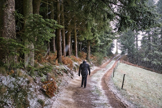 Wandern im Wald