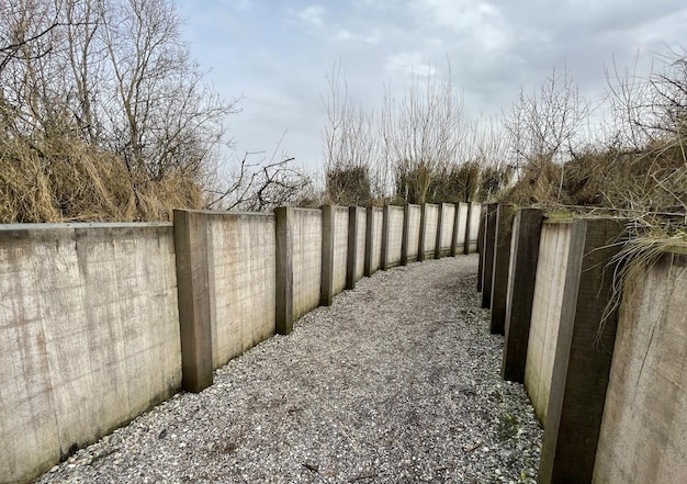 Wandern in den Dünen in der Nähe von Amsterdam in den Niederlanden