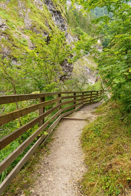 Foto wandern in österreich