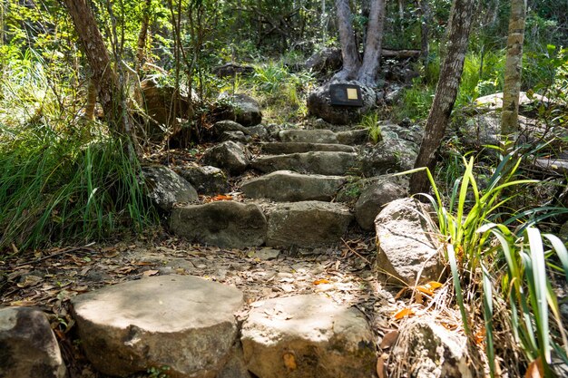 Wandern in Queensland, Australien