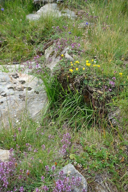 Wandern in Österreich