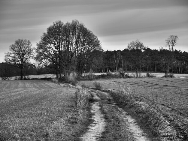 Foto wandern in westfalen