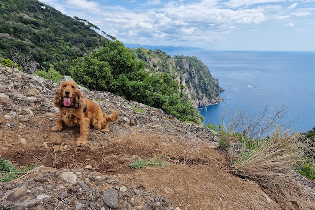 Wandern Portofino San Fruttuoso Trail durch die Meereslandschaft