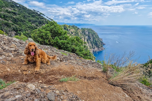 Wandern Portofino San Fruttuoso Trail durch die Meereslandschaft