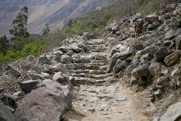 Wandern Sie durch den Colca Canyon und folgen Sie der Route von Cabanaconde zur Oase