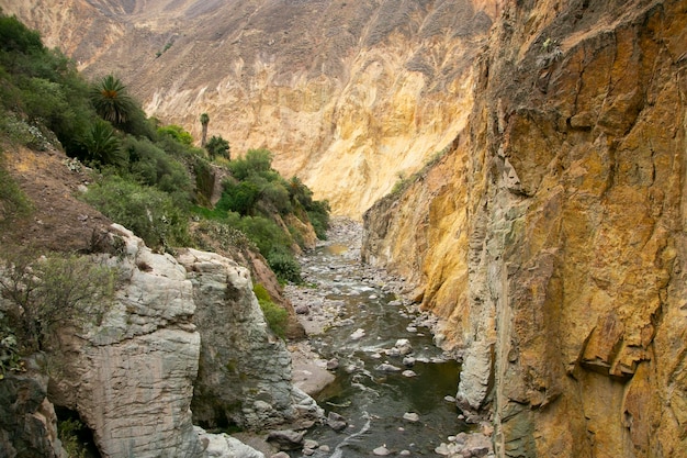 Wandern Sie durch den Colca Canyon und folgen Sie der Route von Cabanaconde zur Oase