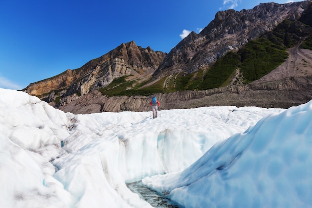 Wandern Sie in Alaska im Sommer