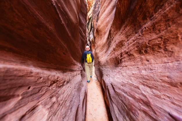 Wandern Sie in den Bergen von Utah