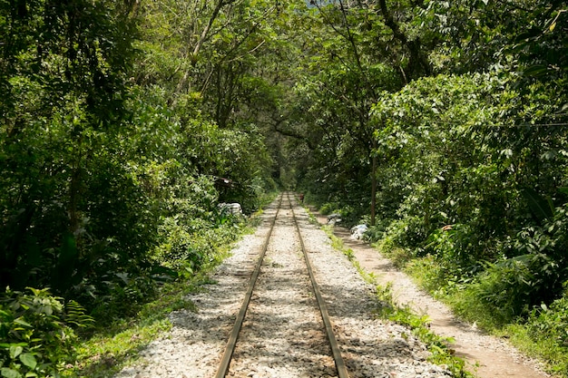 Wandern Sie von Santa Teresa Hidroelctrica nach Aguas Calientes, um Machu Picchu zu erreichen.