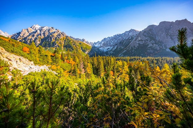 Wandern Strbske See zum Popradske See sehr beliebtes Wanderziel im Nationalpark Hohe Tatra Slowakei Herbstfarbe Natur