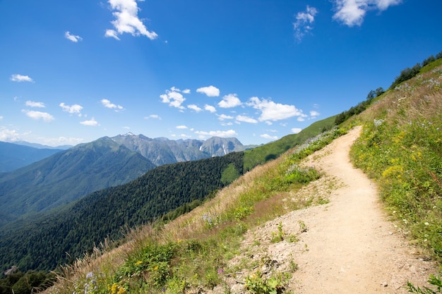 Wandern und Trekking Ein malerischer Weg in den Bergen, umgeben von Wiesen