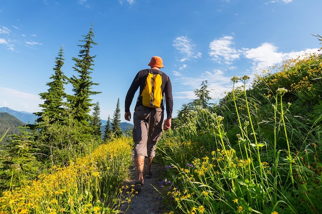 Wandernder Mann in den Bergen