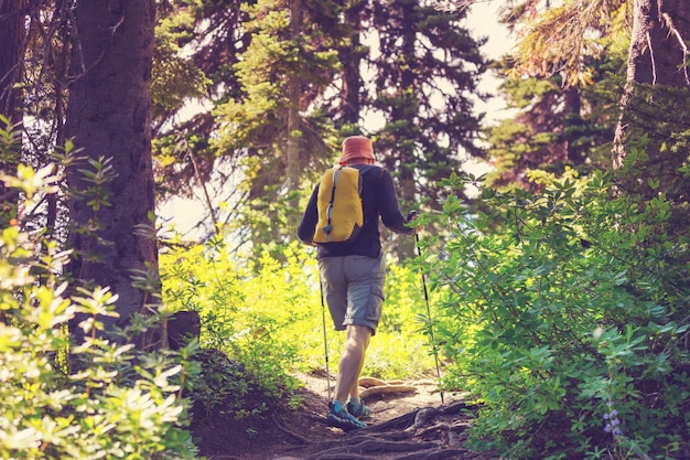 Wandernder Mann in den Bergen