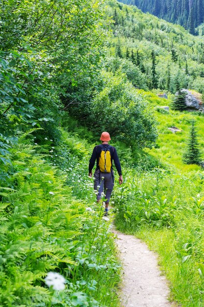 Wandernder Mann in den kanadischen Bergen. Wandern ist die beliebteste Freizeitaktivität in Nordamerika. Es gibt viele malerische Wanderwege.