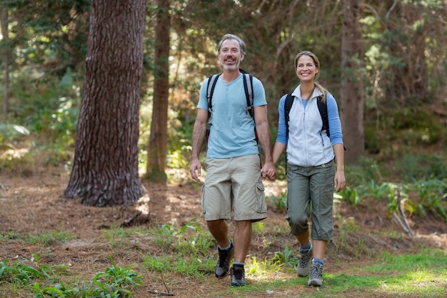 Wanderpaar, das im Wald wandert