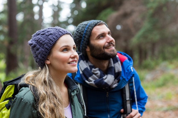 Wanderpaar, das Natur im Wald betrachtet