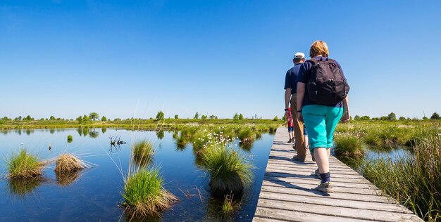 Wandertour im Hohen Venn Hohes Venn