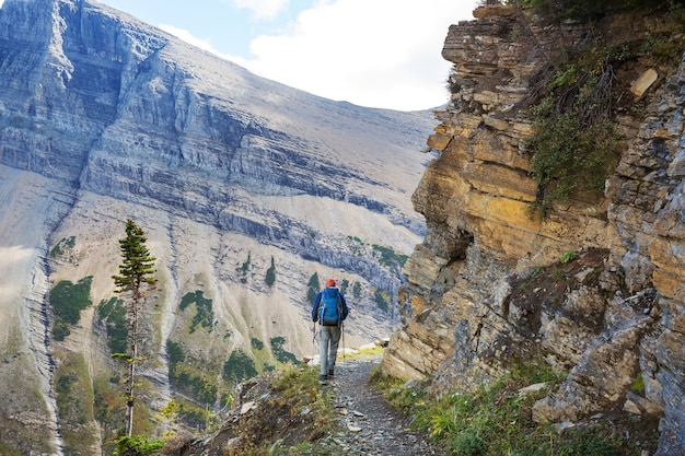 Wanderung im Glacier National Park, Montana