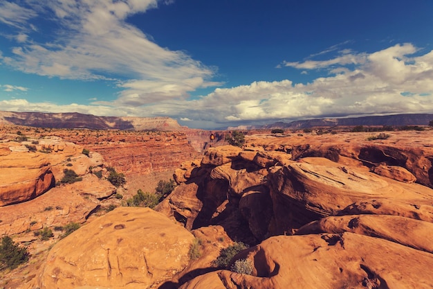 Wanderung im Grand Canyon