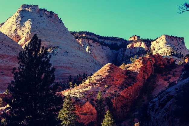 Wanderung im Zion National Park