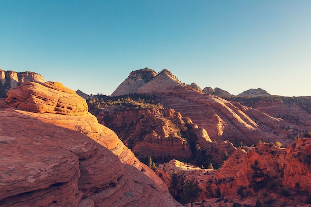 Wanderung im Zion-Nationalpark