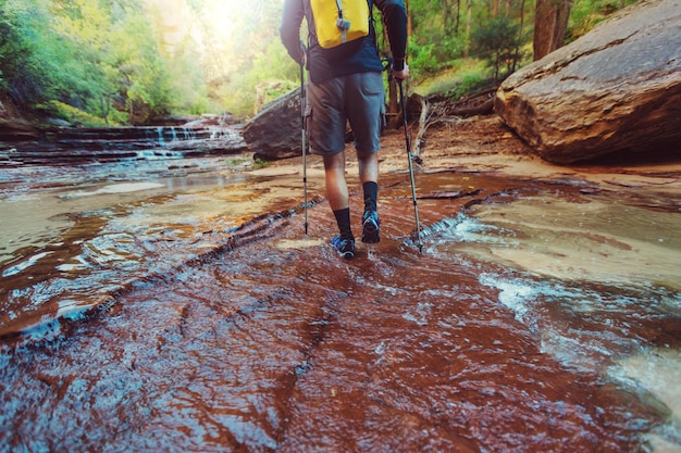 Wanderung im Zion-Nationalpark