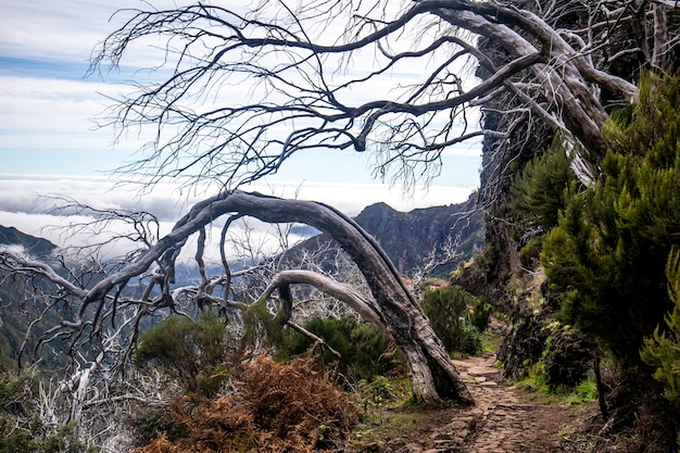 Wanderung vom Pico do Arieiro zum Pico Ruivo