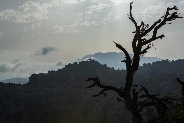 Wanderurlaub Mallorca Spanien Schönes Bild mit Landschaft der Serra de Tramuntana-Berge