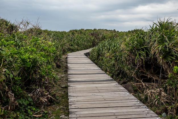 Wanderweg aus Holz