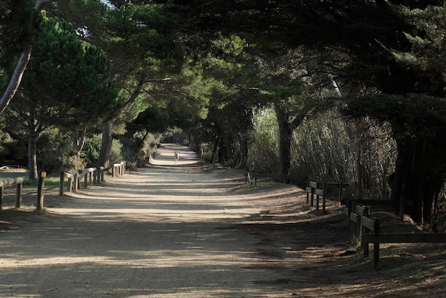 Wanderweg der Insel Porquerolles, Frankreich, Panoramalandschaft