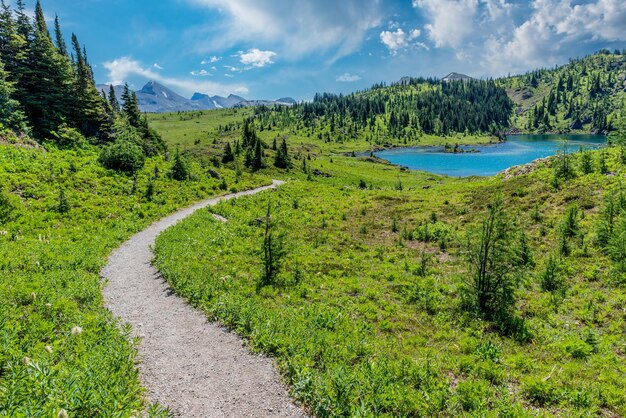 Wanderweg hinunter zum Rock Isle Lake in den Sunshine Meadows von Sunshine Village, Alberta