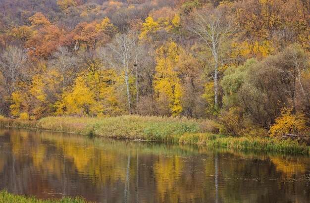 Wanderweg im Herbst am Seeufer