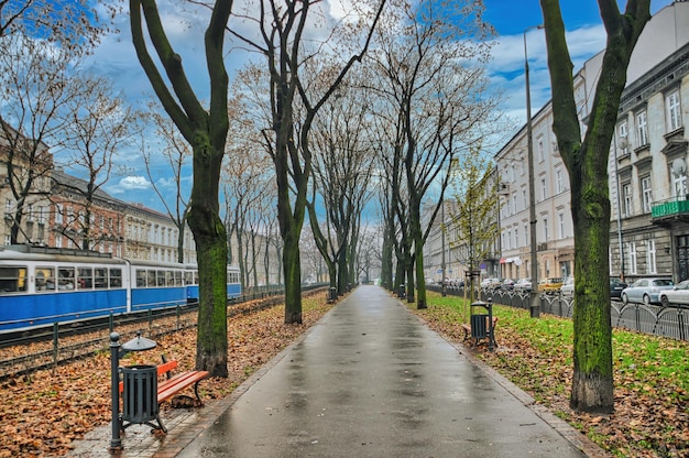 Wanderweg im Park in Krakau