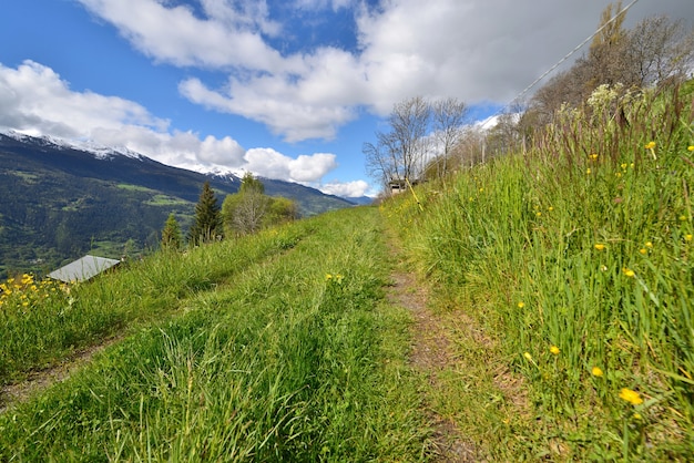 Wanderweg in alpinem Berg, der grüne Wiese überquert