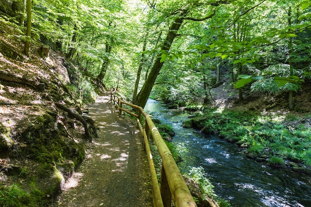 Wanderweg in der Kamenitz-Schlucht, Nationalpark Böhmische Schweiz, Tschechische Republik