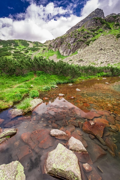 Wanderweg in der Tatra durch Strom Polen