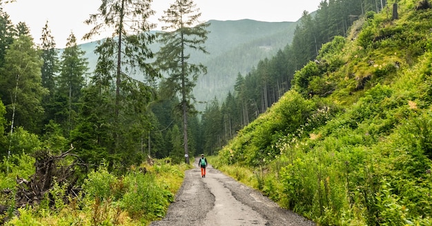 Wanderweg in der Westtatra im Sommer mit schöner Aussicht Ziarska-Tal Liptauer Region Slowakei