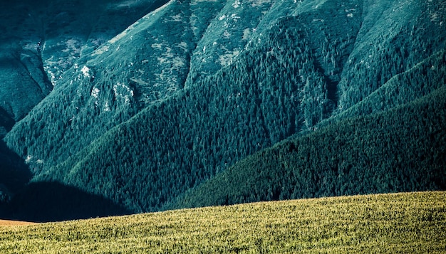 Wanderweg in der Westtatra im Sommer mit schöner Aussicht Ziarska-Tal Liptauer Region Slowakei