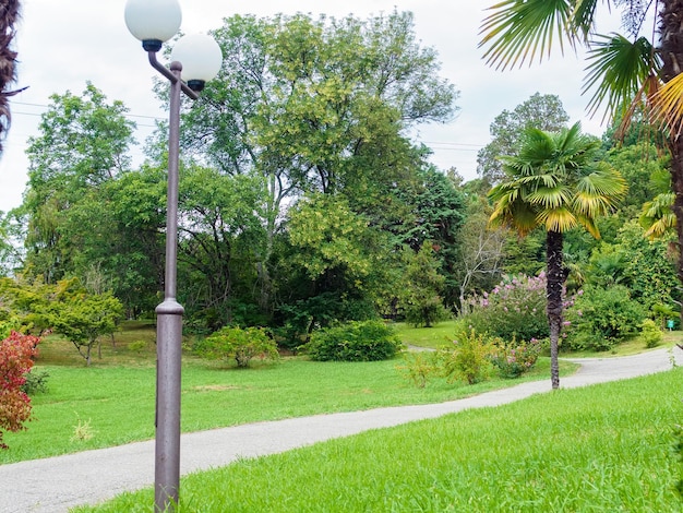 Wanderweg in einem großen Park mit Palmen