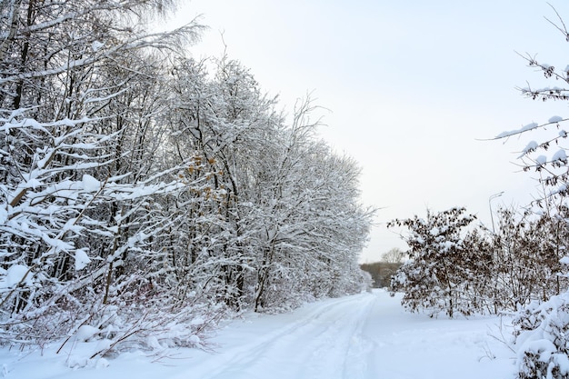 Wanderweg in einer verschneiten wunderschönen Winterlandschaft