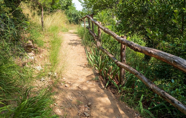 Wanderweg mit Holzzaunbaum am Weg