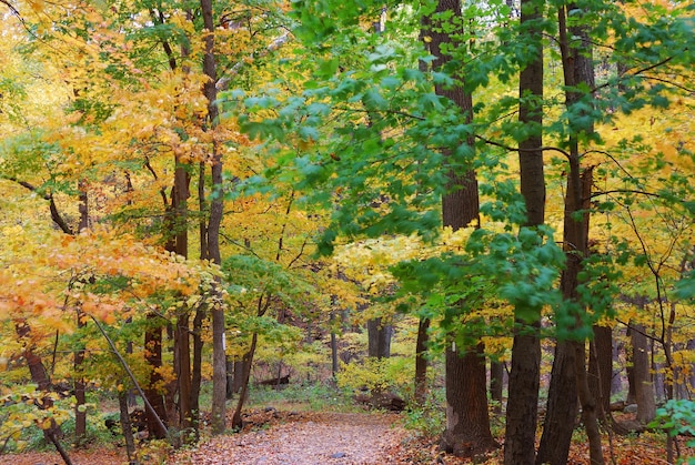 Wanderweg