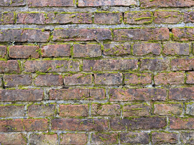 Wandhintergrund aus rotem Backstein mit grünem Gras, Textur aus alten roten Ziegeln