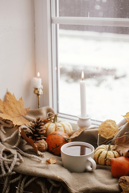 Warme Tasse Tee, Kürbisse, Herbstblätter, Kerzenlichter auf einem gemütlichen Schal auf der Fensterbank. Gemütliche Herbstdekoration für die Wohnung. Fröhliches Erntedankfest. Herbsthygge