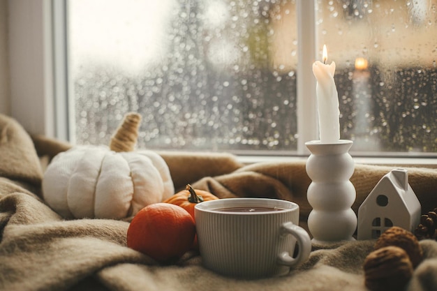 Warme Tasse Teekerzenkürbisse auf gemütlicher Decke gegen Fenster mit Regentropfen Stimmungsvoller Herbst